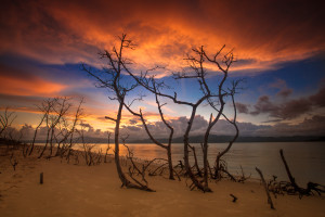 Pontal da Daniela, Florianópolis - Foto: Renato Machado